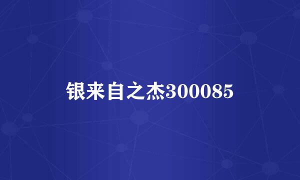 银来自之杰300085