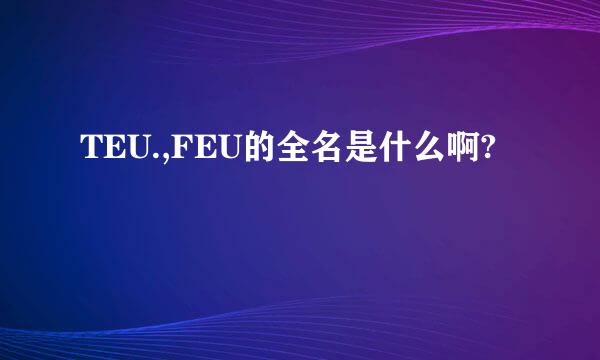 TEU.,FEU的全名是什么啊?