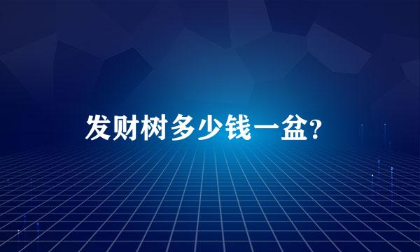 发财树多少钱一盆？