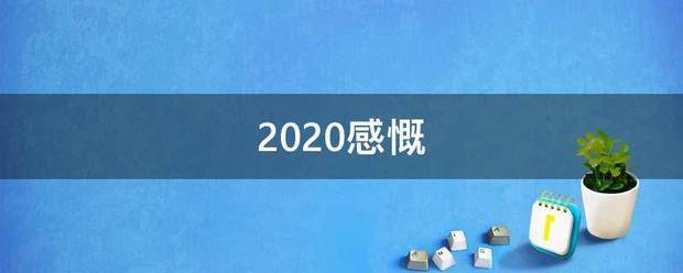 2020感慨