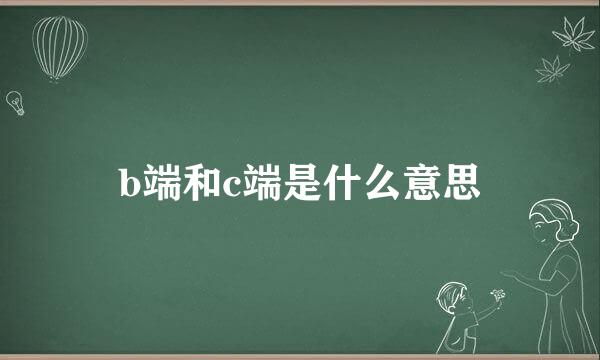 b端和c端是什么意思