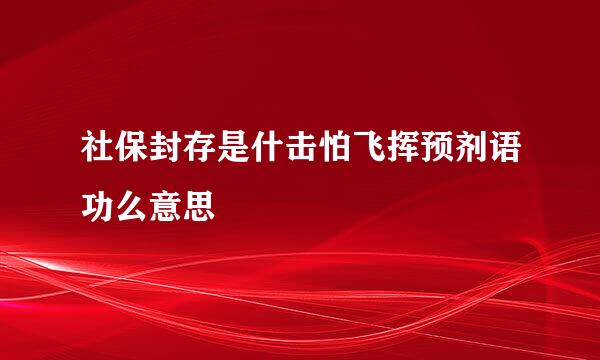 社保封存是什击怕飞挥预剂语功么意思