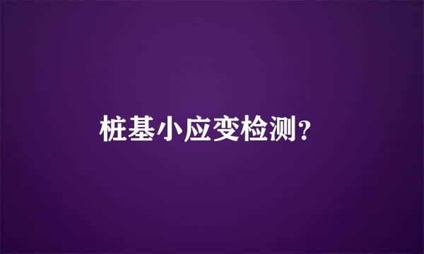 桩基小应变检测？