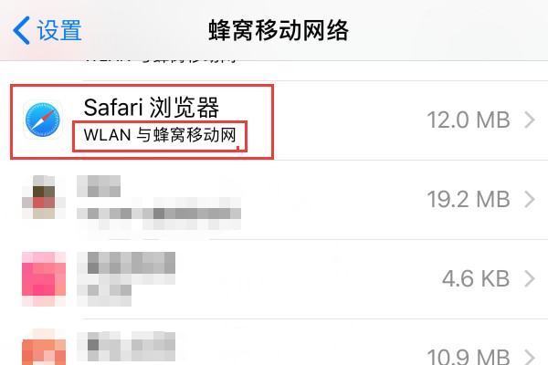 苹果手机为什么safari一商相直显示无法打开网页