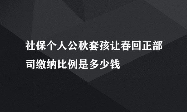 社保个人公秋套孩让春回正部司缴纳比例是多少钱