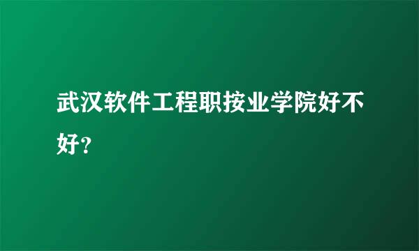 武汉软件工程职按业学院好不好？