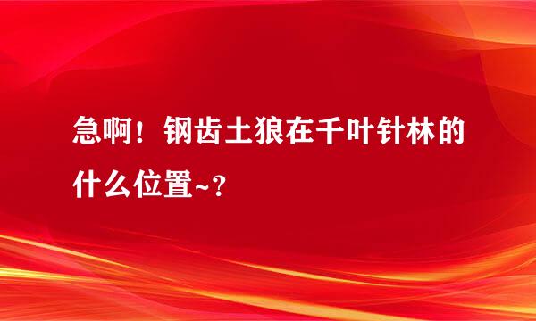 急啊！钢齿土狼在千叶针林的什么位置~？