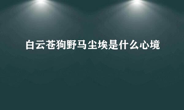 白云苍狗野马尘埃是什么心境