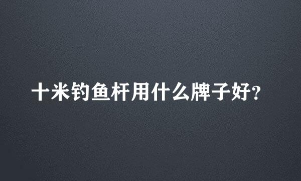 十米钓鱼杆用什么牌子好？