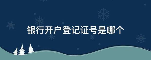 银行开户登记证号是哪个