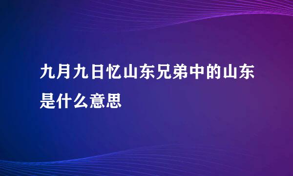 九月九日忆山东兄弟中的山东是什么意思