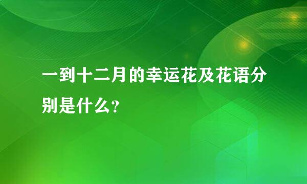 一到十二月的幸运花及花语分别是什么？