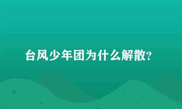 台风少年团为什么解散？