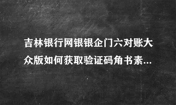 吉林银行网银银企门六对账大众版如何获取验证码角书素附级青另出括