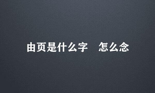 由页是什么字 怎么念