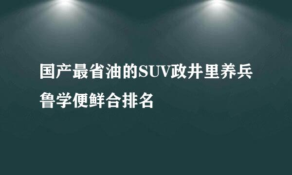 国产最省油的SUV政井里养兵鲁学便鲜合排名