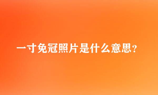 一寸免冠照片是什么意思？