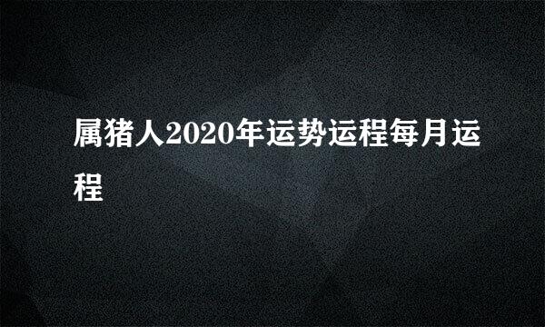 属猪人2020年运势运程每月运程