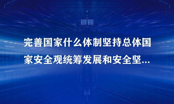 完善国家什么体制坚持总体国家安全观统筹发展和安全坚持人民安全政治安全？