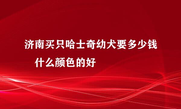 济南买只哈士奇幼犬要多少钱 什么颜色的好