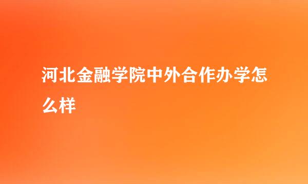 河北金融学院中外合作办学怎么样