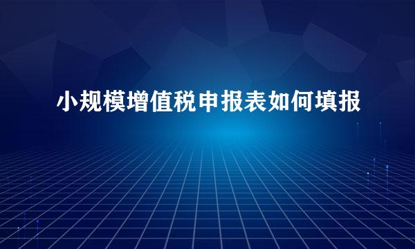 小规模增值税申报表如何填报