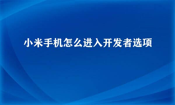 小米手机怎么进入开发者选项