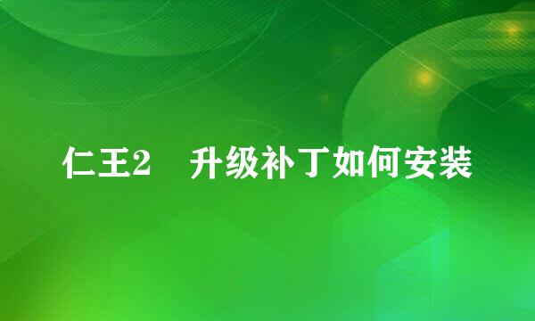 仁王2 升级补丁如何安装