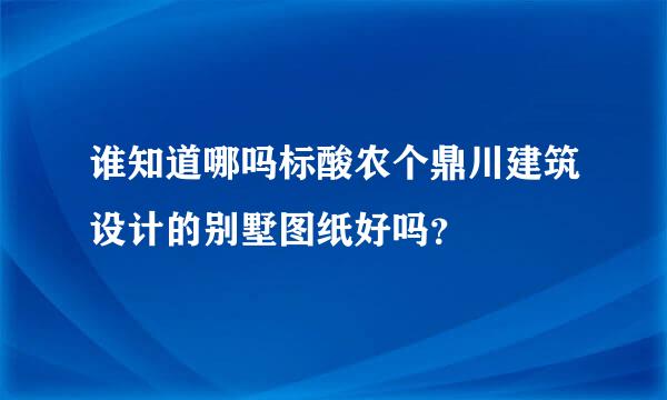 谁知道哪吗标酸农个鼎川建筑设计的别墅图纸好吗？