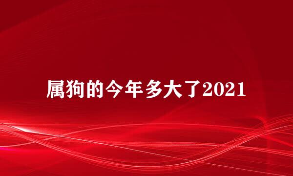 属狗的今年多大了2021