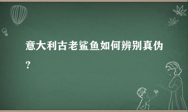 意大利古老鲨鱼如何辨别真伪？