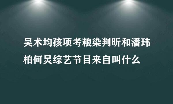 吴术均孩项考粮染判昕和潘玮柏何炅综艺节目来自叫什么