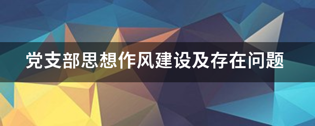 党支部思想作风建设及存在问题