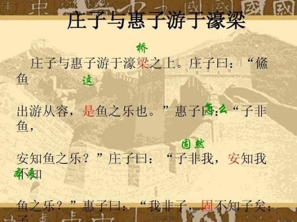 子非鱼,安知鱼之乐,子非我,安知我不知鱼之乐什么意思