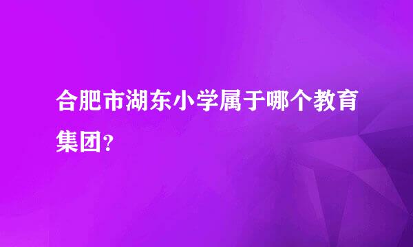 合肥市湖东小学属于哪个教育集团？