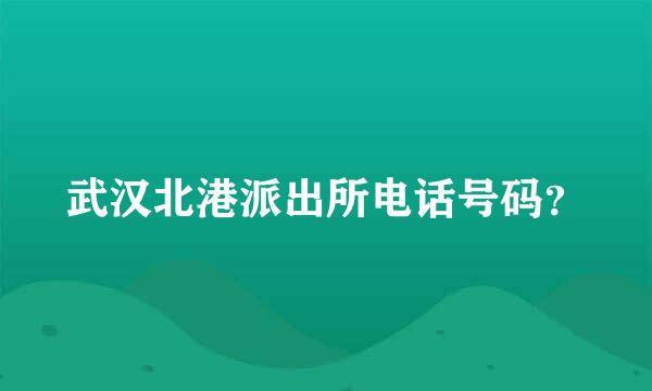 武汉北港派出所电话号码？