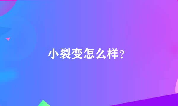 小裂变怎么样？