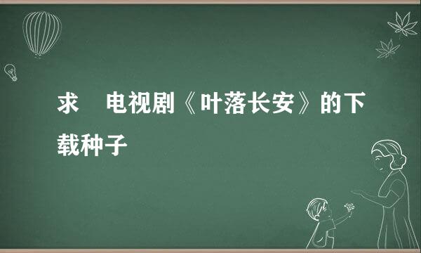 求 电视剧《叶落长安》的下载种子