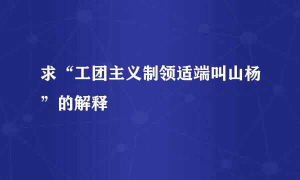 求“工团主义制领适端叫山杨”的解释