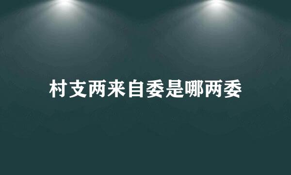 村支两来自委是哪两委