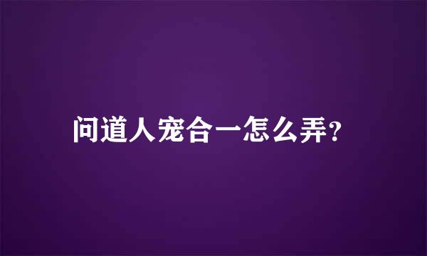 问道人宠合一怎么弄？