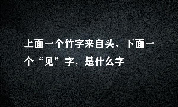 上面一个竹字来自头，下面一个“见”字，是什么字