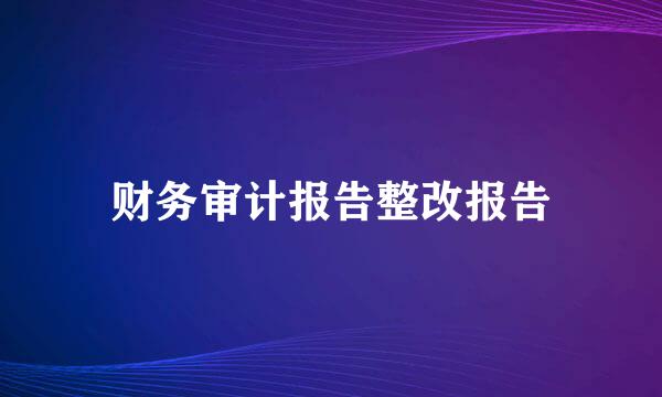 财务审计报告整改报告