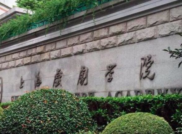 上海有哪些艺术类大学