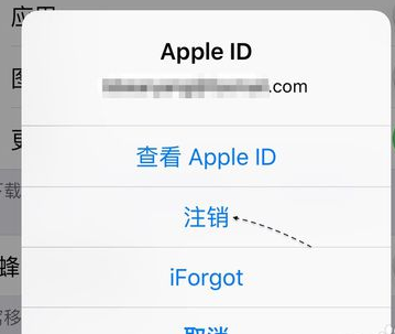 苹果手机怎样删除id账号