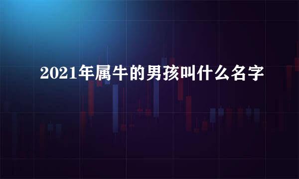 2021年属牛的男孩叫什么名字