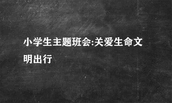 小学生主题班会:关爱生命文明出行