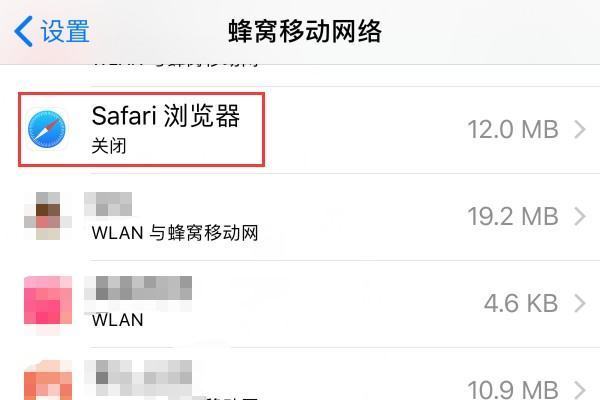 苹果手机为什么safari一商相直显示无法打开网页