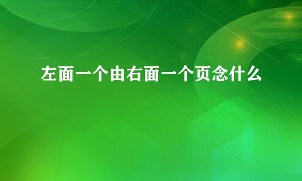 左面一个由右面一个页念什么