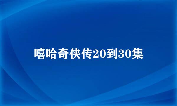 嘻哈奇侠传20到30集